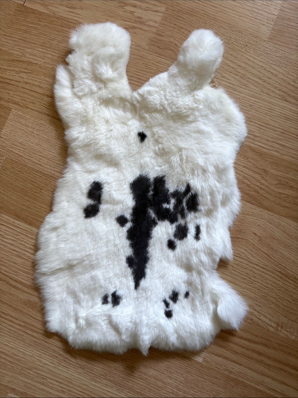B0086 Rex rabbit hide